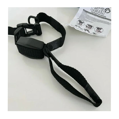 Collar Para Perro Con Correa Retráctil