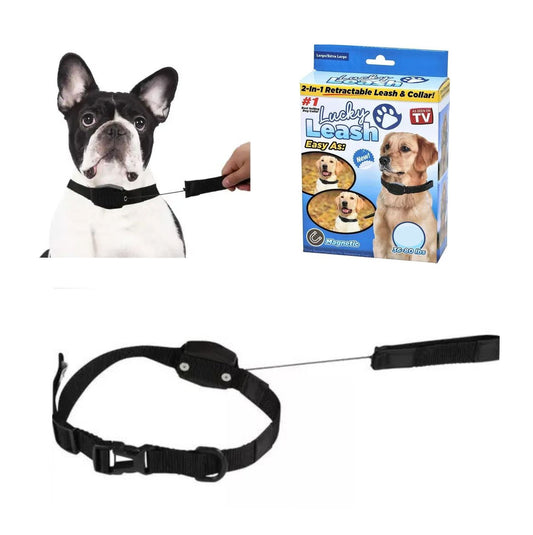 Collar Para Perro Con Correa Retráctil