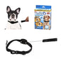 Collar Para Perro Con Correa Retráctil