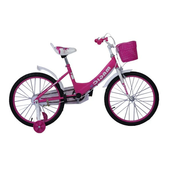 Bicicleta Infantil Rin 20 Para Niñas