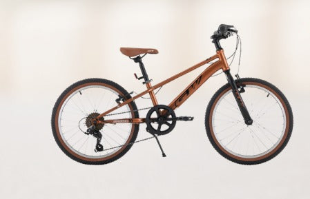 BICICLETAS RIN 24 TODO TERRENO