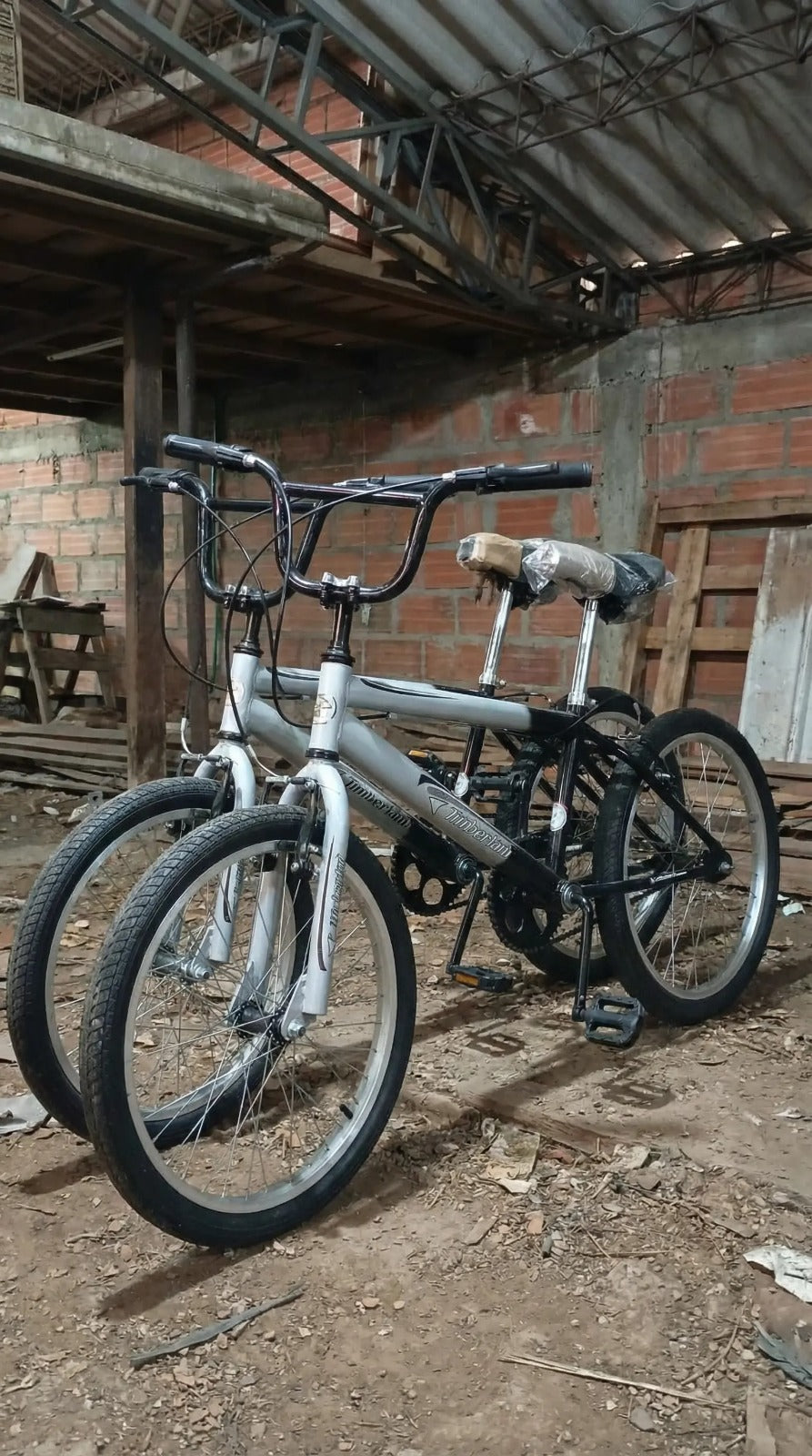 🚲 Bicicleta Rin 20 – Ideal para niños y niñas