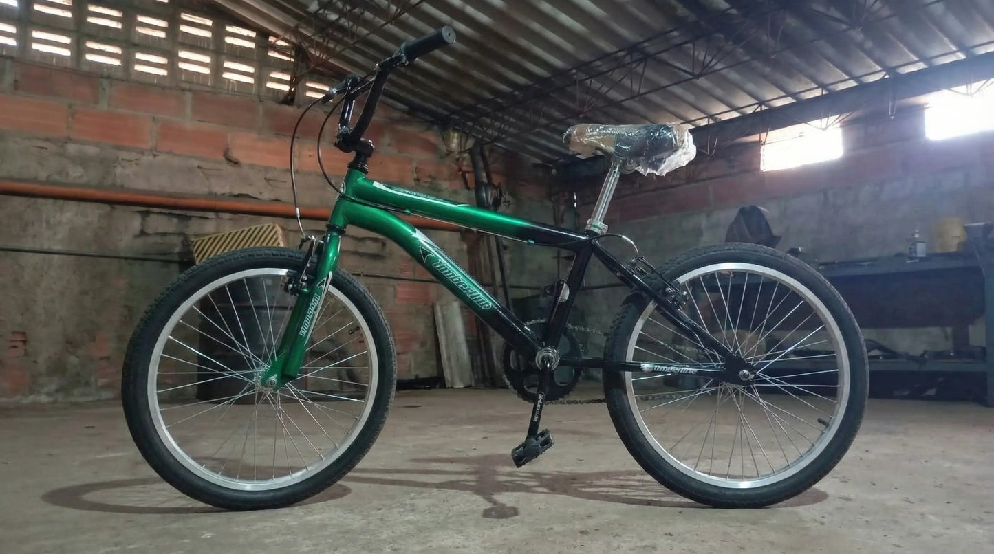 🚲 Bicicleta Rin 20 – Ideal para niños y niñas