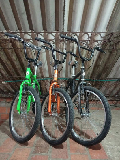 🚲 Bicicleta Rin 20 – Ideal para niños y niñas