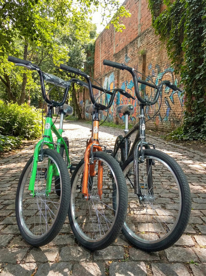 🚲 Bicicleta Rin 20 – Ideal para niños y niñas