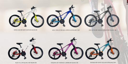 BICICLETAS RIN 20 TODOTERRENO
