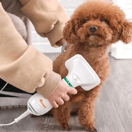 SECADOR PARA MASCOTAS